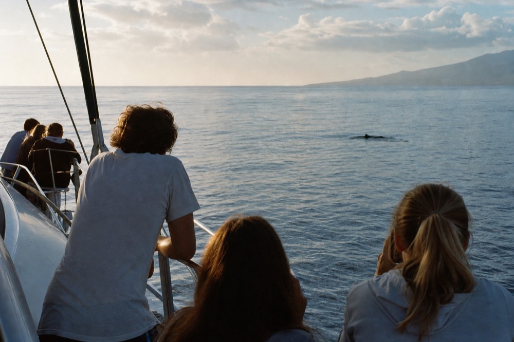 Passengers along a boat rail looking out at flat water in late afternoon, engines off, a small dark shape breaking the surface in the distance