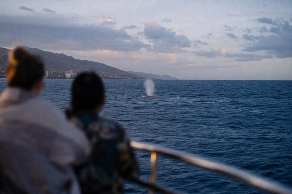 Distant white blow rising from dark blue water with a boat rail and blurred passengers in the foreground under late afternoon light